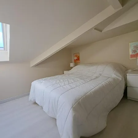 T2 Duplex Refait A Neuf, Proche Plages, Parking Et Wifi - Fr-1-521-255 דירה ביסקארוס