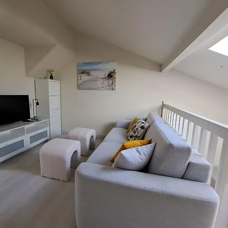 דירה T2 Duplex Refait A Neuf, Proche Plages, Parking Et Wifi - Fr-1-521-255 ביסקארוס
